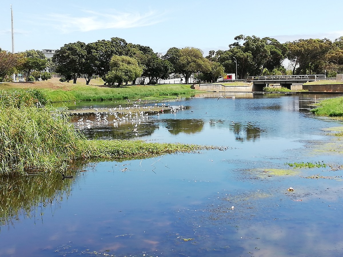 And Still I Rise&nbsp;2019